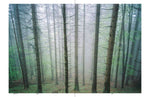 Salzkammergut SELECTED II