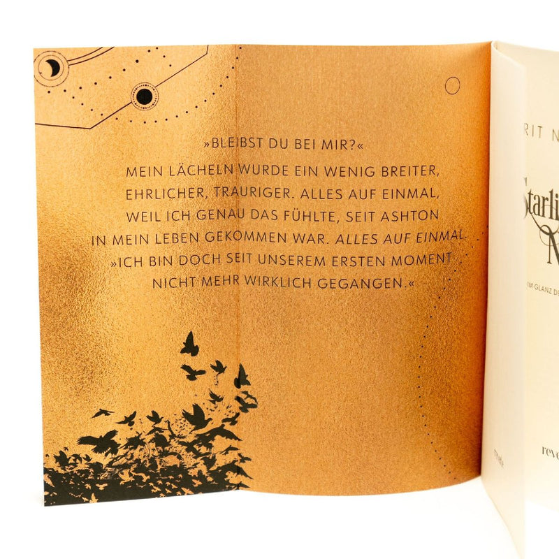 Starling Nights 2 (Innenansicht)