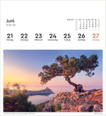 Alte Bäume - KUNTH Postkartenkalender 2027