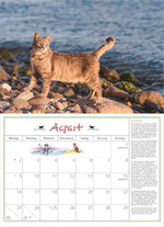 DuMonts Katzen Kalender 2027