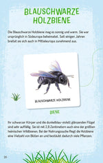 Das große Insekten Memo