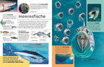 memo Wissen. Tiere