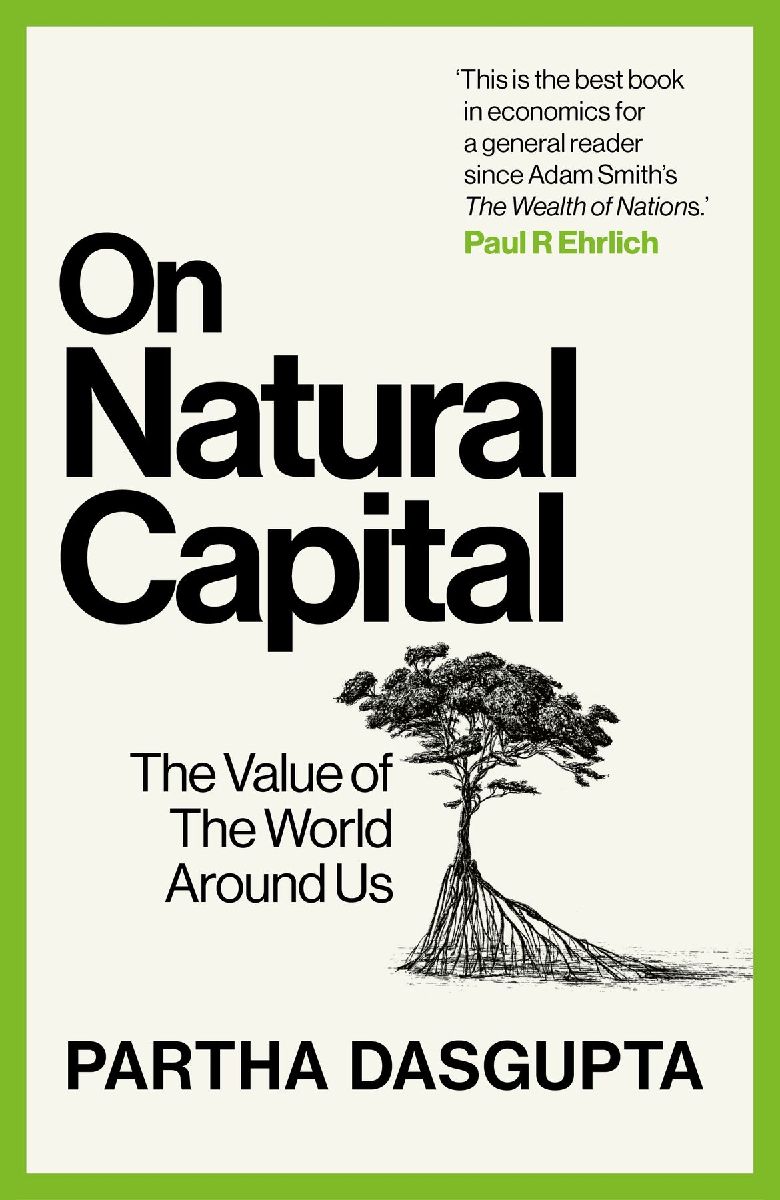 On Natural Capital