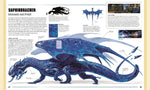 Dungeons & Dragons Das Buch der Drachen (Innenansicht)