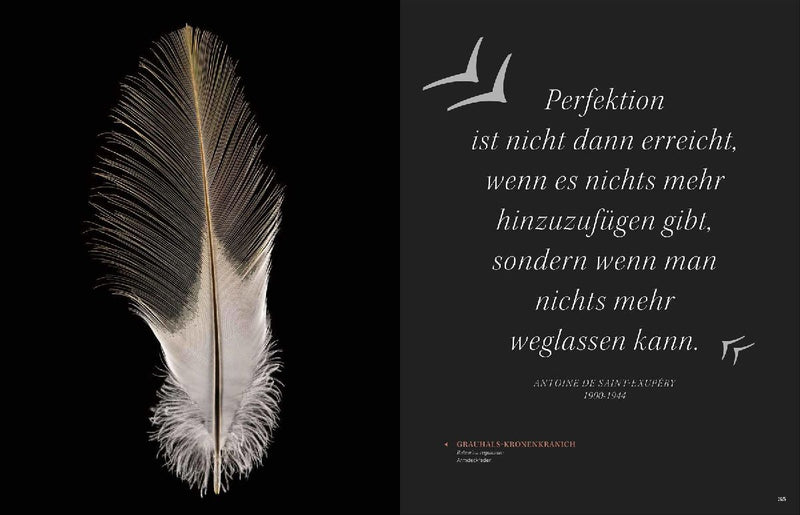 Bildband Federn: Meisterstücke der Evolution (Innenansicht)