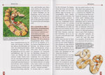 Die Abgottschlange - Boa Constrictor