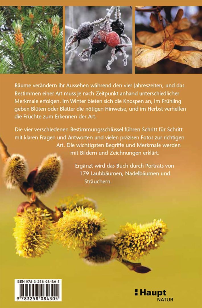 Bäume bestimmen - Knospen, Blüten, Blätter, Früchte (Rückseite)