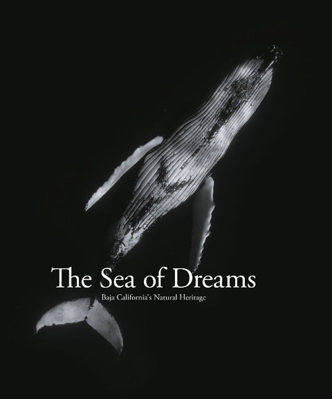 The Sea of Dreams