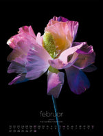 in bloom Kalender 2027 (Innenansicht)