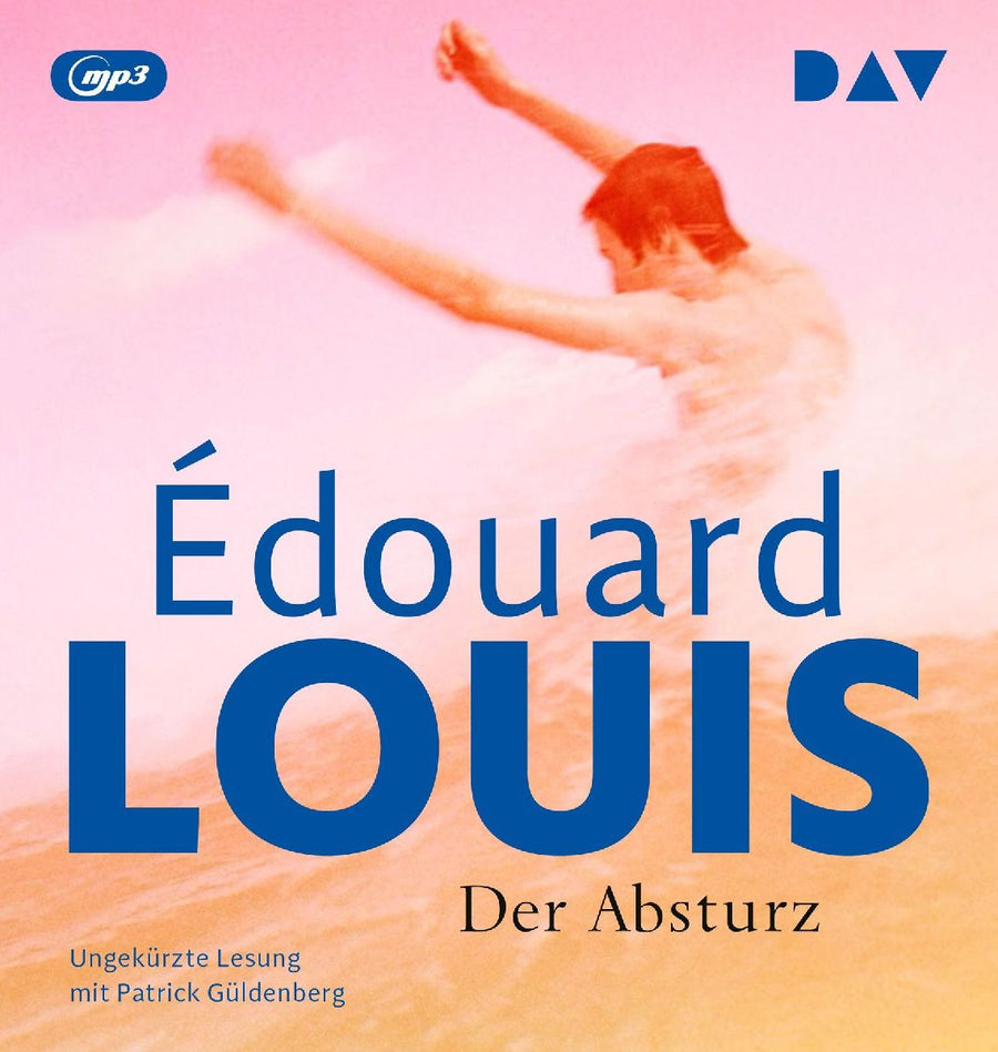 Der Absturz
