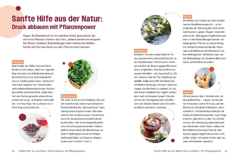 Gesund mit Visite - Bluthochdruck (Innenansicht)