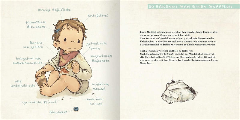 Der MüffFloh (Innenansicht)