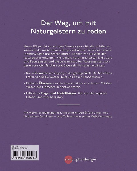 Die Welt der Naturgeister - Das Arbeitsbuch