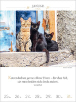 Literaturkalender Katzen 2027