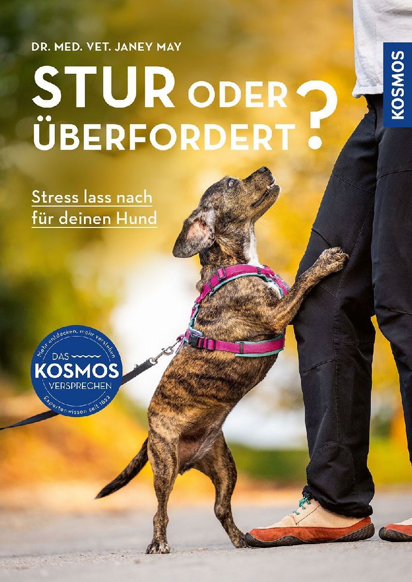Stur oder überfordert?
