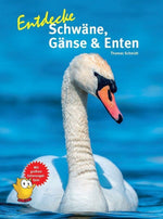 Entdecke Schwäne, Gänse & Enten