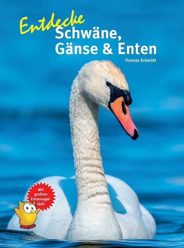 Entdecke Schwäne, Gänse & Enten