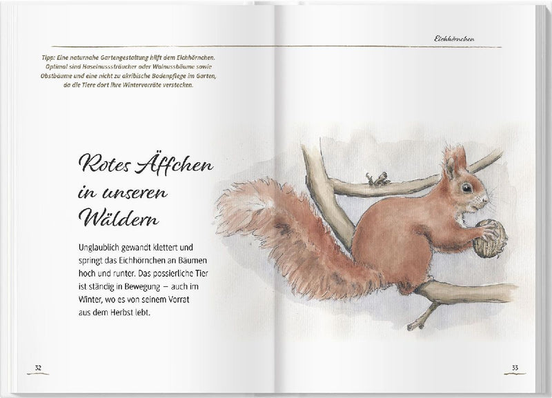 Von Elstern, Eichhörnchen und Erdhummeln (Innenansicht)