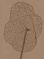 Alois Schild