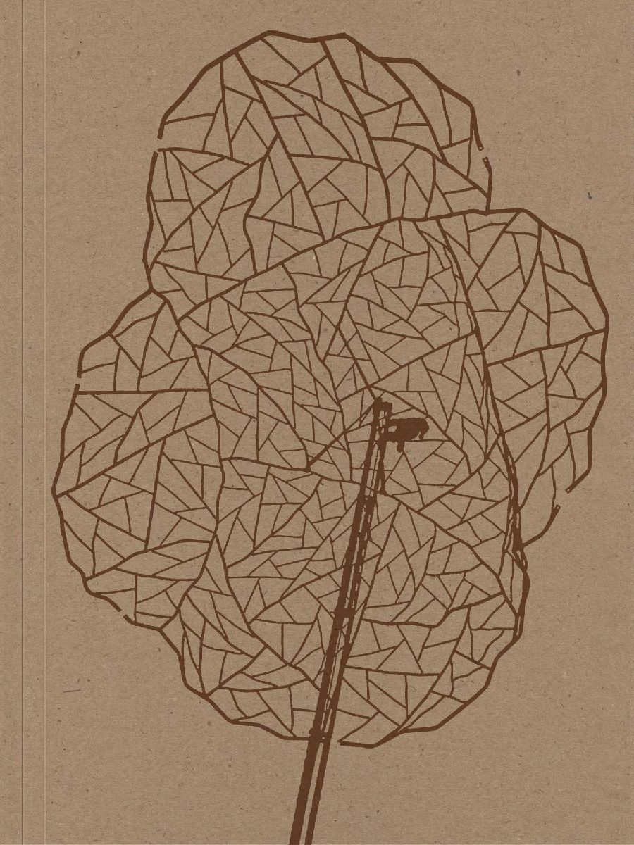 Alois Schild