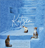 Katzen