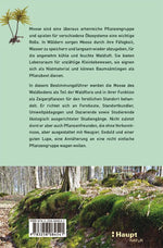 Moose des Waldbodens