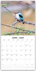 Kingfishers - Eisvögel 2027 - 16-Monatskalender