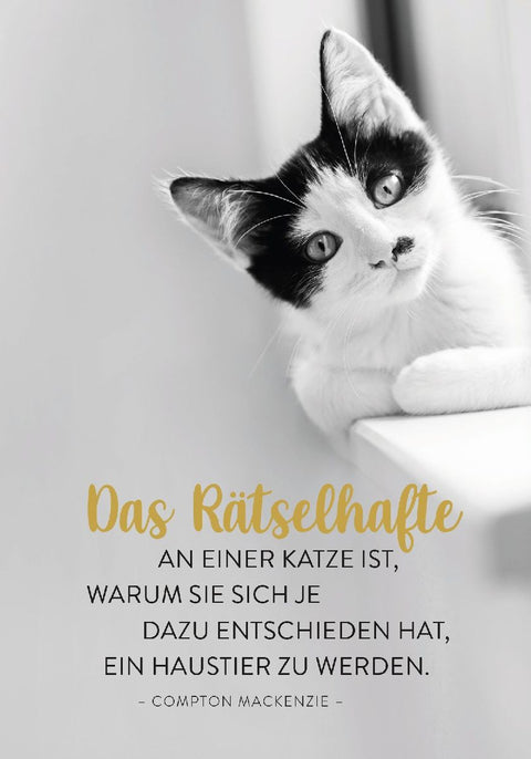 Buchkalender 2027: Für Katzenfreunde