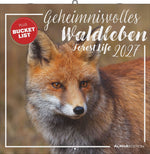 Geheimnisvolles Waldleben 2027