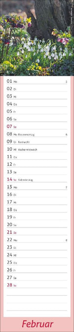 times&more Garten Langplaner 2027