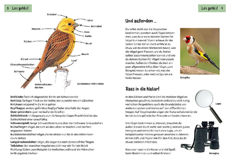 Welcher Gartenvogel ist das? Kindernaturführer (Innenansicht)