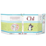 Kleine Katze Chi 01
