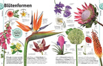 Pflanzen (Innenansicht)