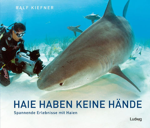 Haie haben keine Hände - Spannende Erlebnisse mit Haien
