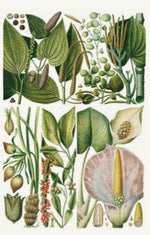 100 Blumen (Innenansicht)