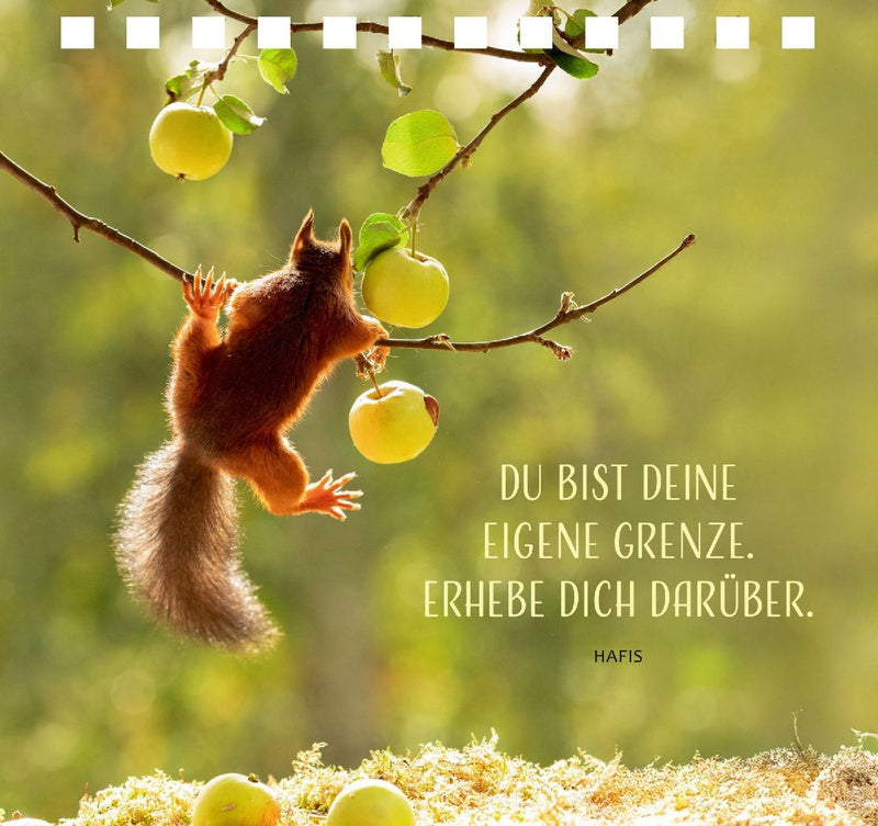 Einfach gute Wünsche (Innenansicht)