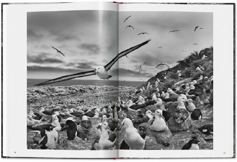Sebastião Salgado. Genesis (Innenansicht)