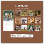 Meerkats - Erdmännchen 2027 - 16-Monatskalender