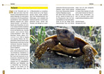 Die Spaltenschildkröte
