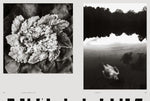 femxphotographers.org