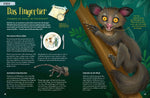 Stacheln, Schleim & spitze Zähne! Mein Bestiarium der außergewöhnlichen Tiere (Innenansicht)