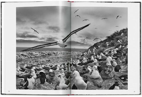 Sebastião Salgado