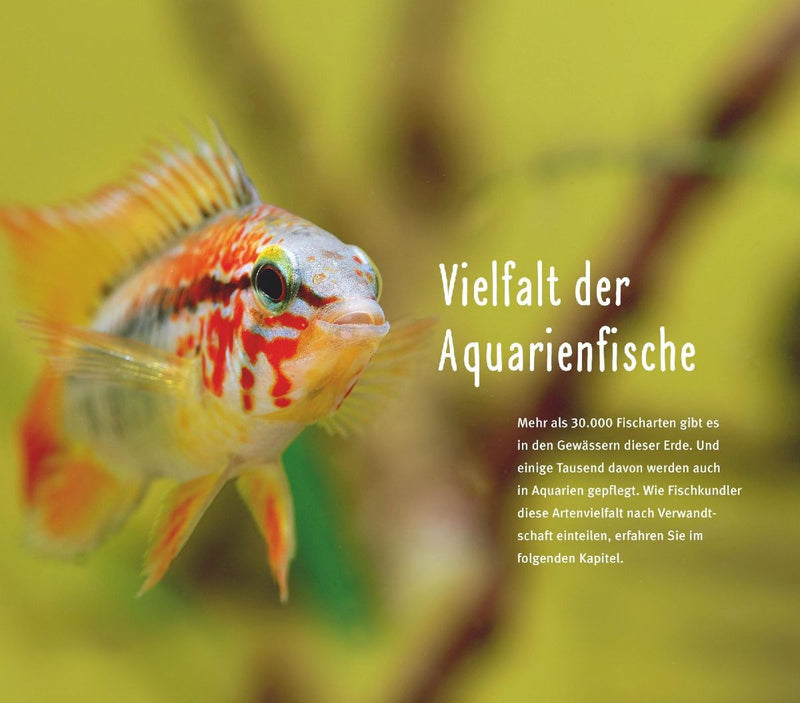 Aquarienfische von A bis Z (Innenansicht)