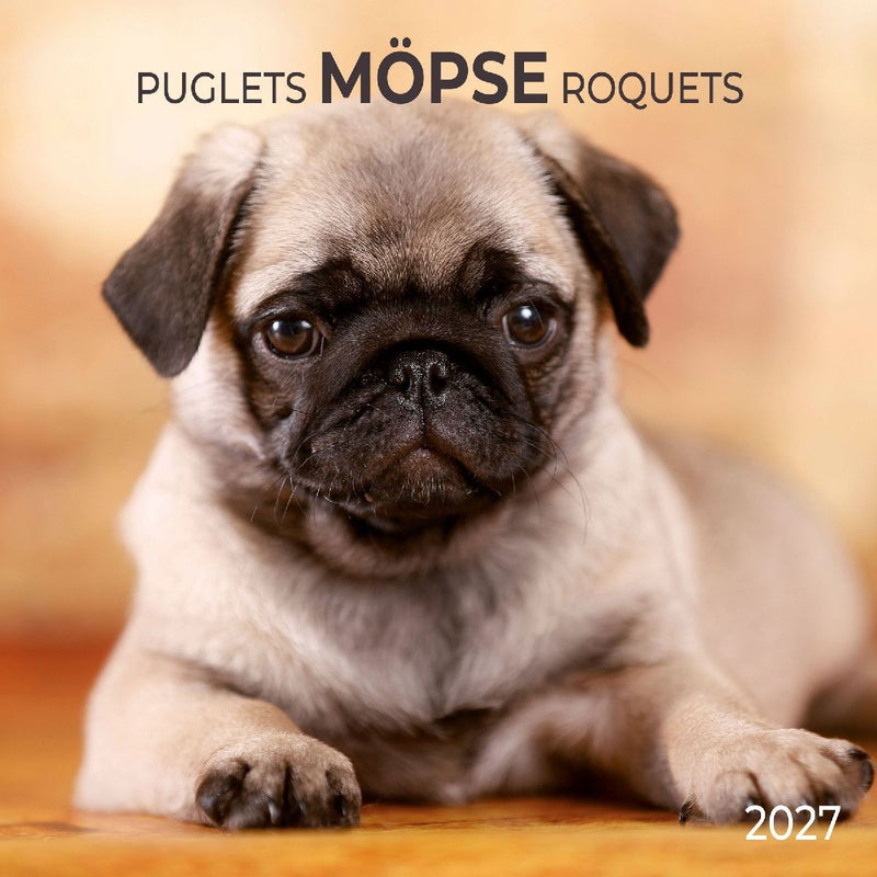 Möpse / Puglets 2027