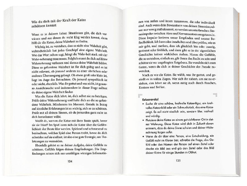 Beschützt von meinem Krafttier (Innenansicht)