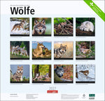 Wölfe Kalender 2027