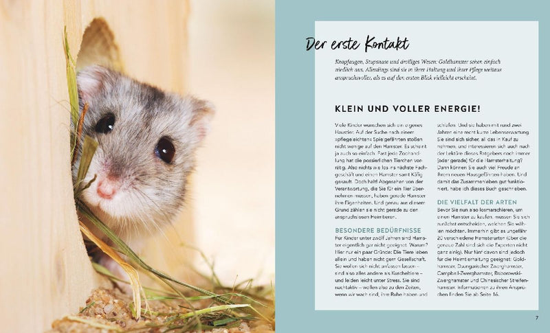 Hamster (Innenansicht)