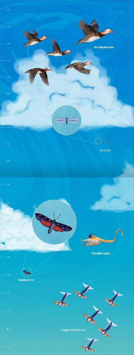 Hinauf ins Himmelblau (Innenansicht)