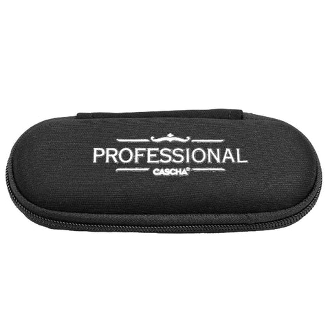 Professional Blues Harmonica in D (incl. case and cleaning cloth)