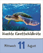 Tierisch unterwegs 2027